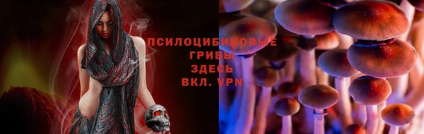 COCAINE Абаза