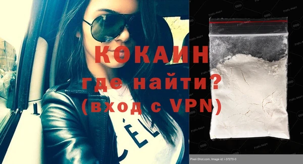 индика Осташков