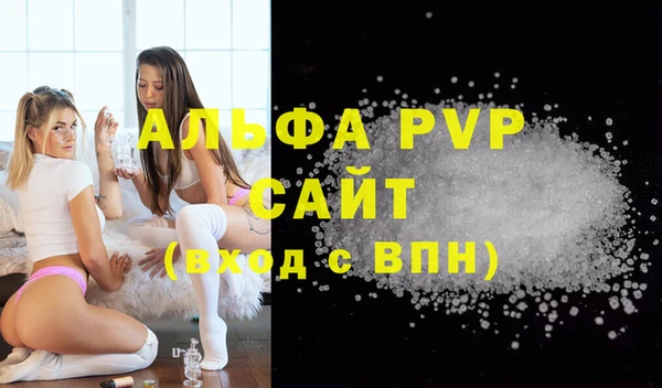 индика Осташков