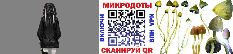 наркотики  Собинка  это состав  Галлюциногенные грибы Psilocybe 